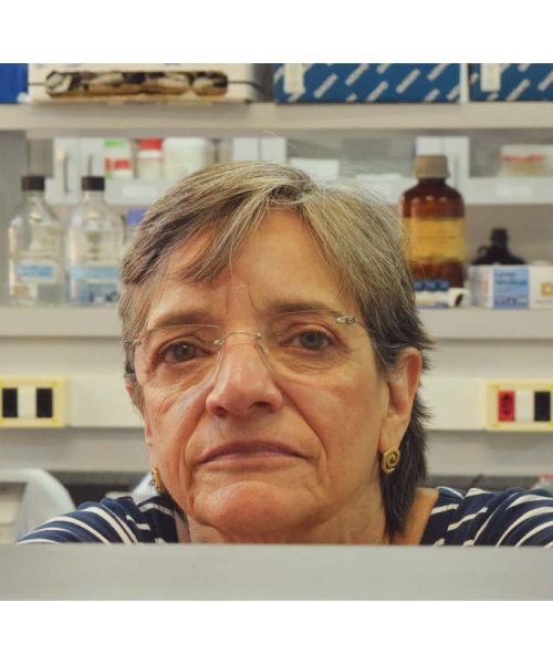 akc10_less - Angela Kaysel Cruz